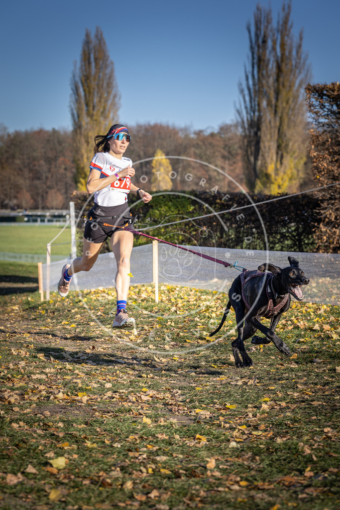 CaniXpix_DV3A1062 | Hundefotografie, Tierfotograf, Pfotenfotografie, Fotoshooting Hund, Hunde Portrait, Hundesport, Hundeportraits, Heideshooting, Hunde, Sportfotograf, Hundefotograf, Turnierhundsport, THS,  - Realisiert mit Pictrs.com