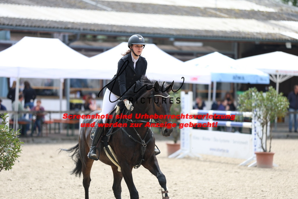 A40A2436 | lmwpictures - Realisiert mit Pictrs.com