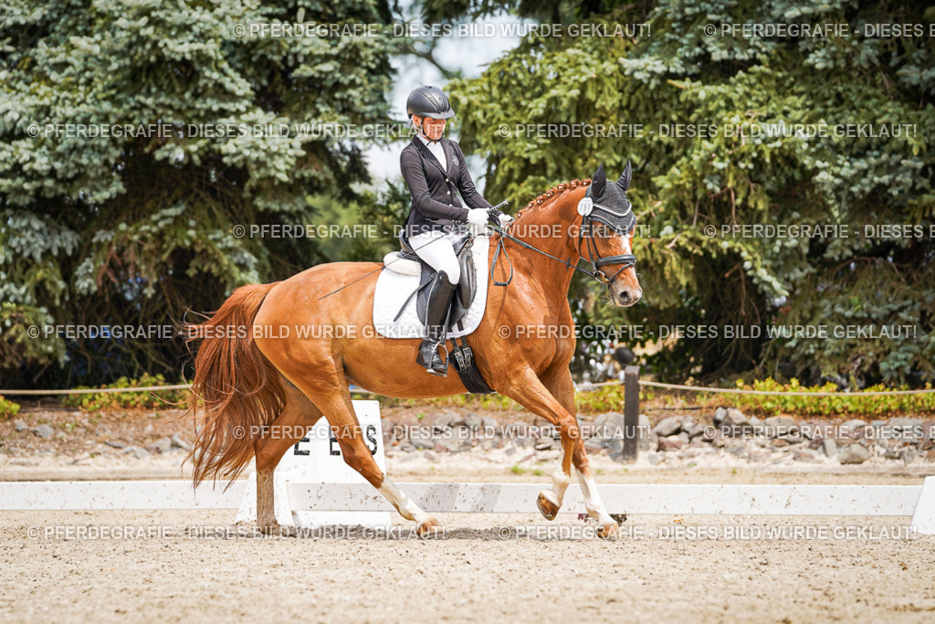 DSC03947 | Pferdegrafie