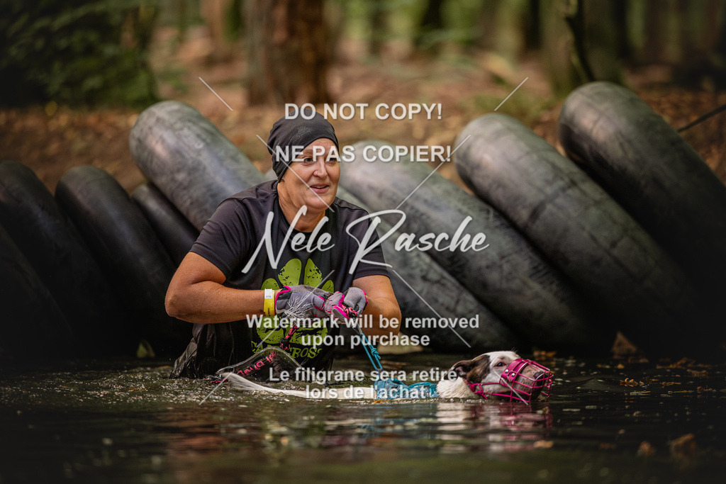 nelerasche_SaWingst0845-1000_117 | nelerasche