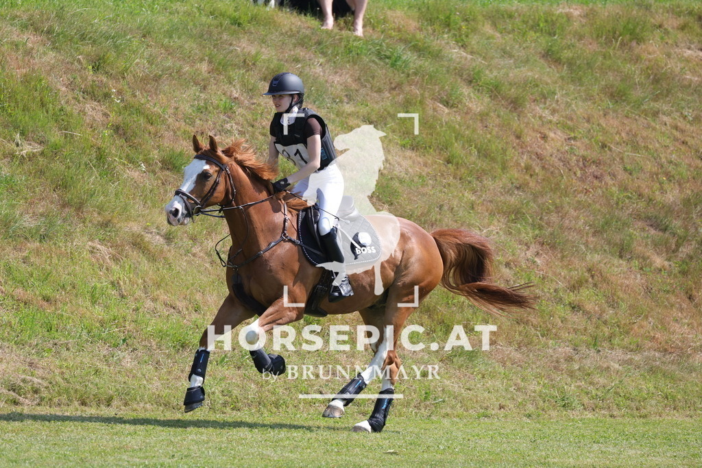 0P6A7804 | Willkommen bei Brunnmayr - Design & Fotografie – Ihrem Spezialisten für Reitturniere und Pferdeveranstaltungen in Oberösterreich, Salzburg und Bayern! Seit über 17 Jahren sind wir leidenschaftlich dabei.