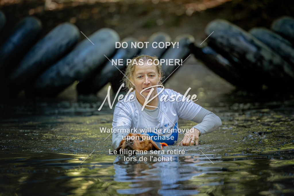 nelerasche_SaWingst1600-Ende_315 | nelerasche