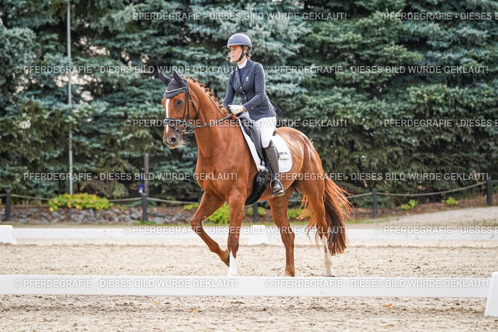 DSC00470 | Pferdegrafie