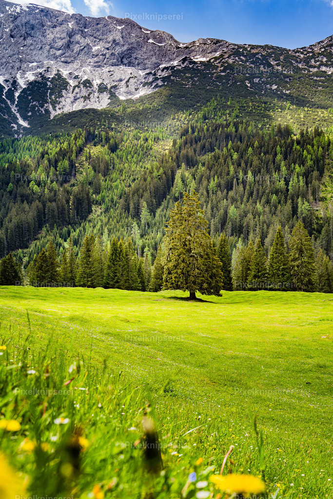 Gaistal | Fotograf Tirol Imst Pixelknipserei - Realisiert mit Pictrs.com