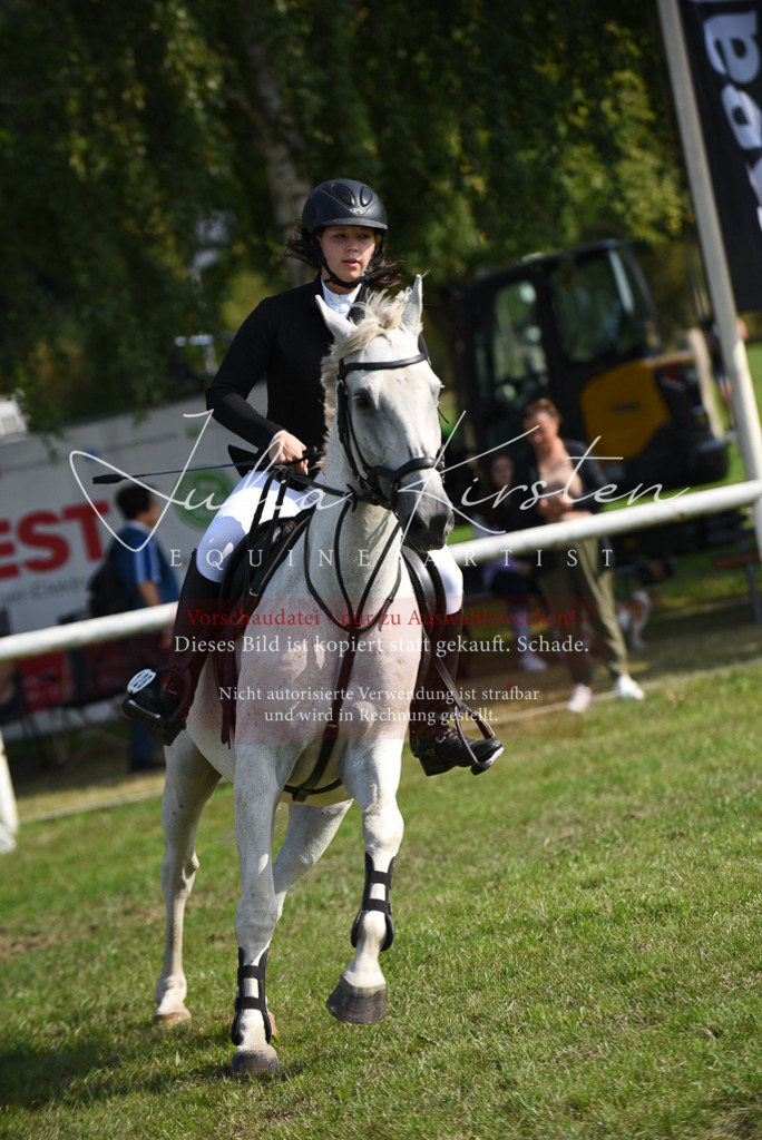DSC_8906 | Pferde- und Turnierfotografie in Westsachsen. Pferdeportraits, Auftragszeichnungen und intuitive Kunst.