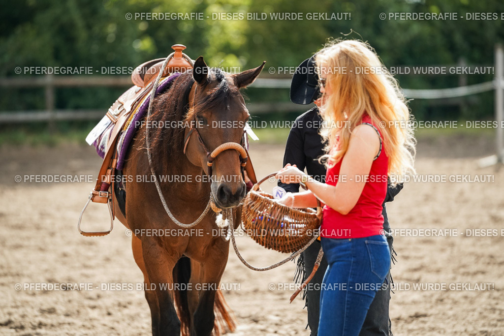 DSC04098 | Pferdegrafie