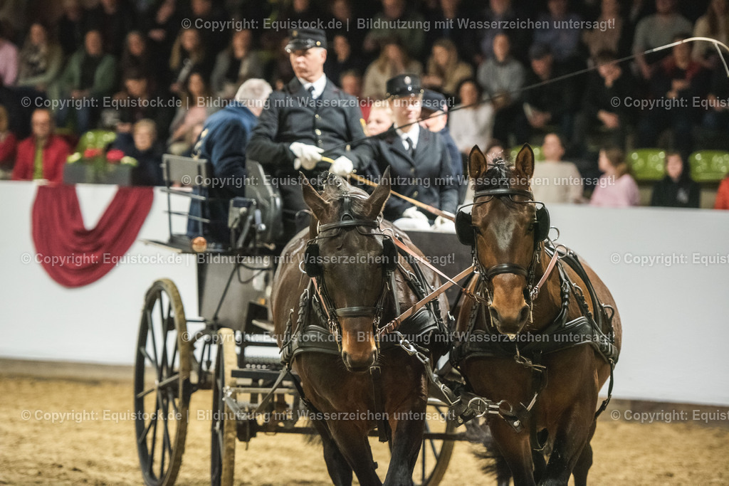 20240302_Hengstvorstellung_Marbach_TOMsPiC_0755 | equistock