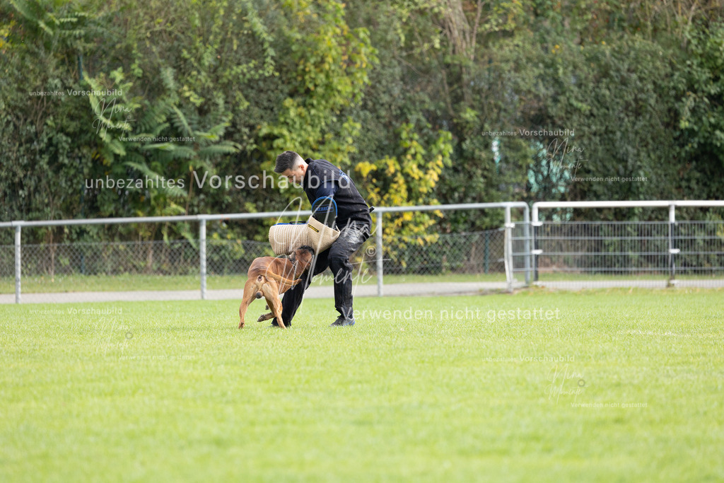 _16A7048 | Einzigartige Fotos von Hunden & Menschen –Actionfotos, Portraits, Vereinsaufnahmen & Paarshootings – authentisch, lebendig & mit Herz.