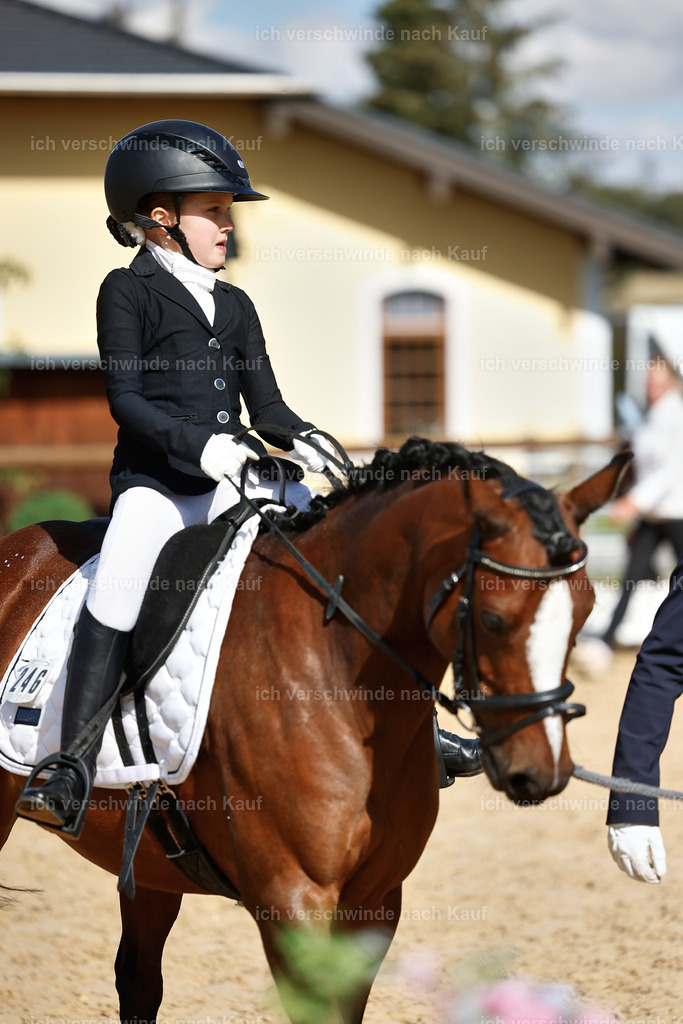 01--Ponyführzügel -StoibPH-6674 | working equitationturnier fotograf videograf stoibphotography marixx film working equitation deutschland reitsport turnierfotografie eventfotografie equestrian events