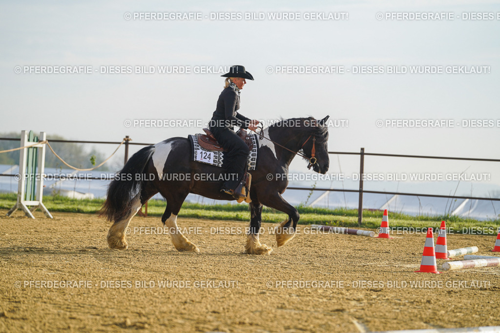 DSC09904 | Pferdegrafie