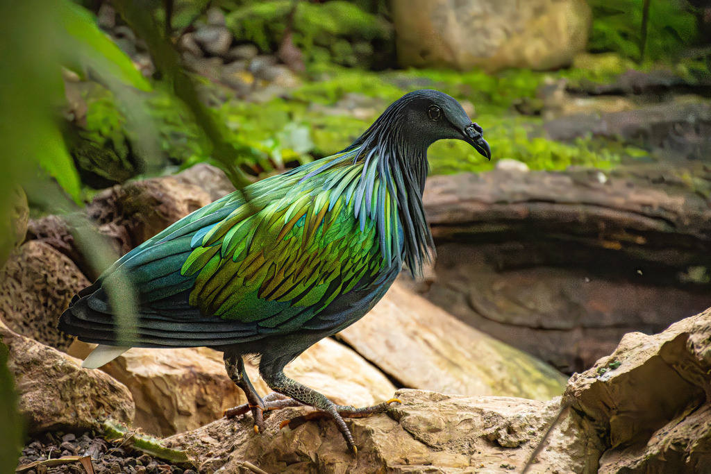 HFG_4354-Verbessert-RR-Bearbeitet | Holzisphotography, Landschaftsfotografie, Wildlifefotogorafie - Realisiert mit Pictrs.com