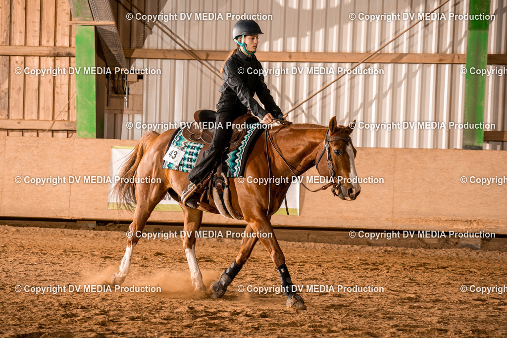 BAL03044 | dv-media-shop - Realisiert mit Pictrs.com