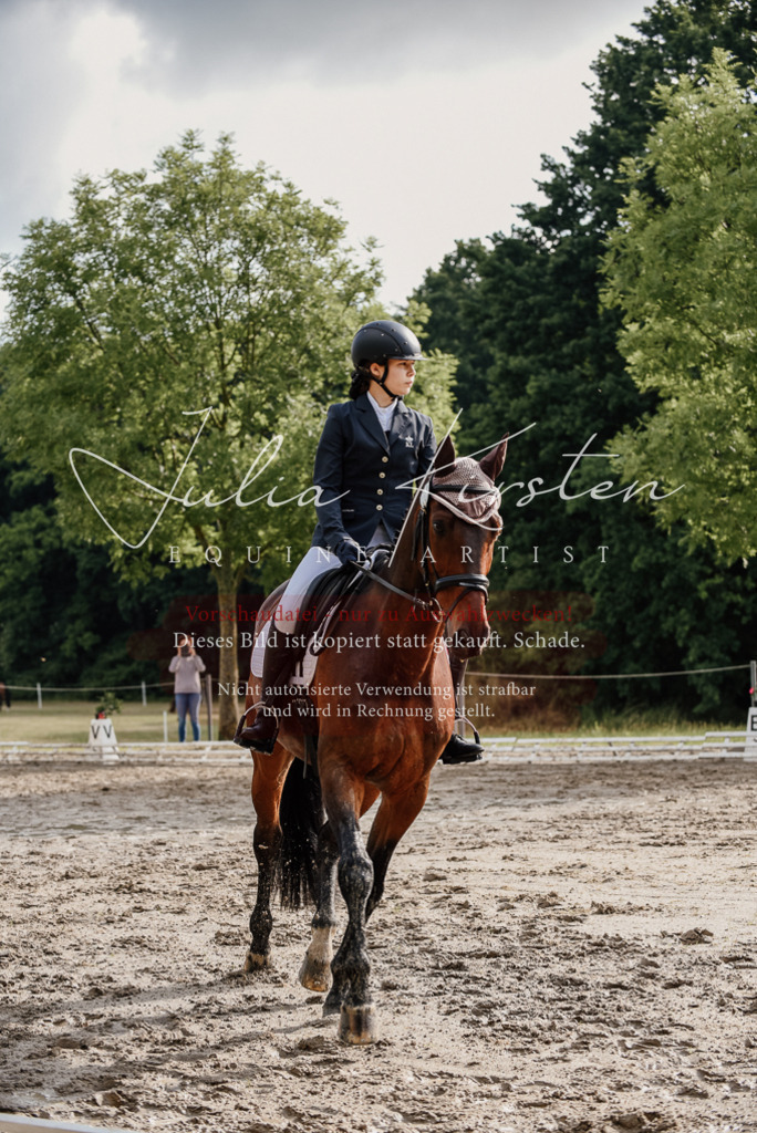 DSC_8617 | Pferde- und Turnierfotografie in Westsachsen. Pferdeportraits, Auftragszeichnungen und intuitive Kunst.