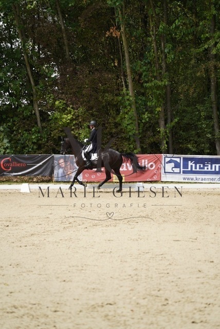 VAN02779 | Marie Giesen Fotografie - Realisiert mit Pictrs.com