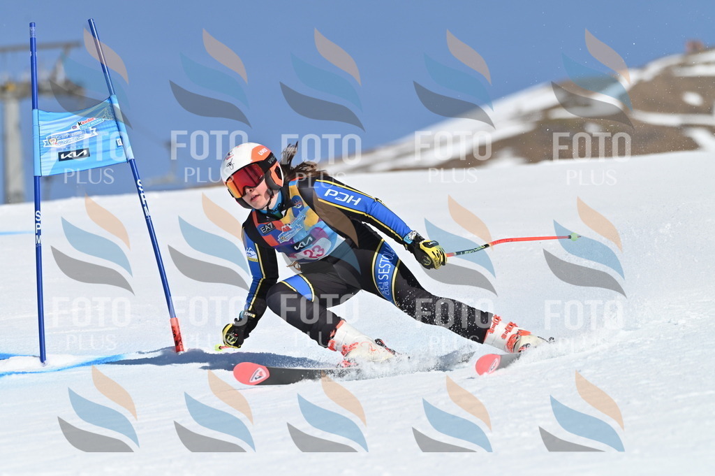 BGV_8004 | holidayphoto