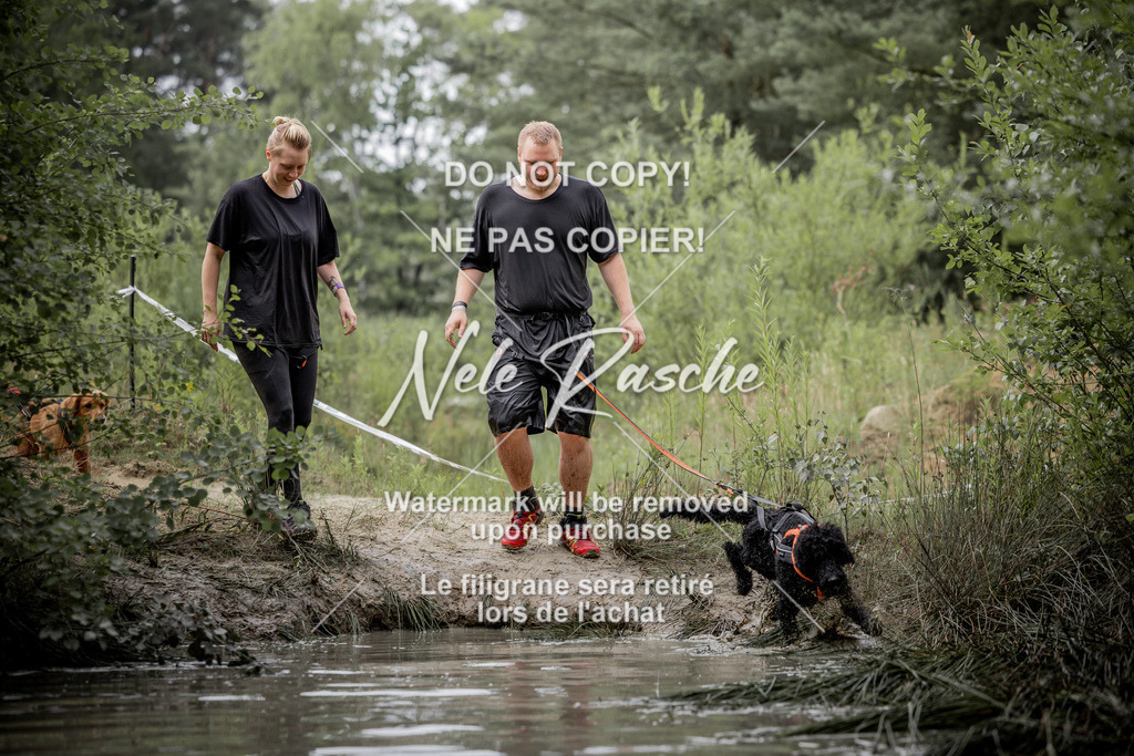 nelerasche_so0800-0930_215 | nelerasche