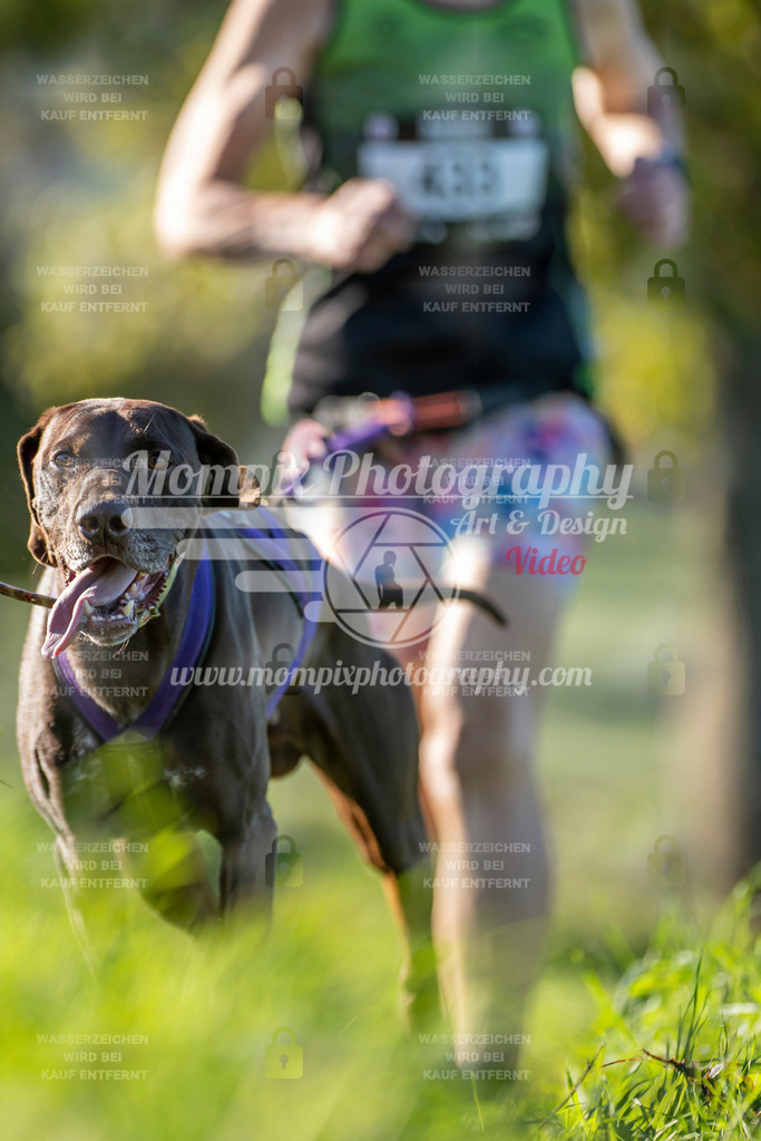 MompixPhotography_20TSB_E3_Run-37 | PayLife