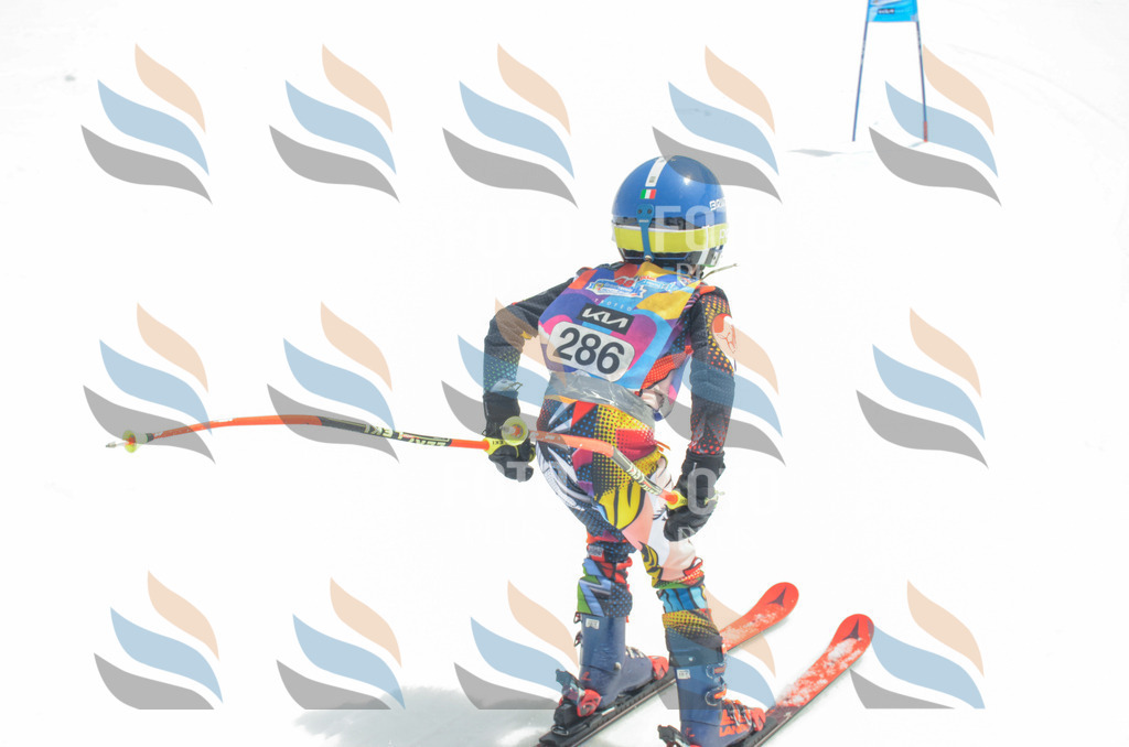 _ELE8030 | holidayphoto