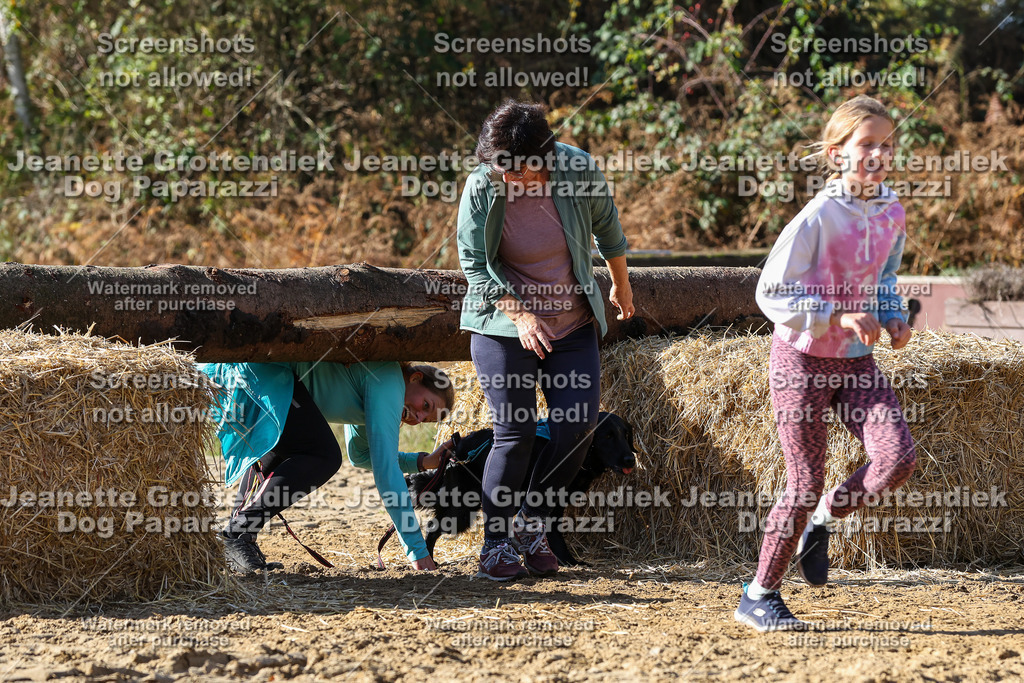 Dog Paparazzi - Strongdog 10-25-4767 | Dog Paparazzi Jeanette Grottendiek Fotografie & Videografie - Realisiert mit Pictrs.com