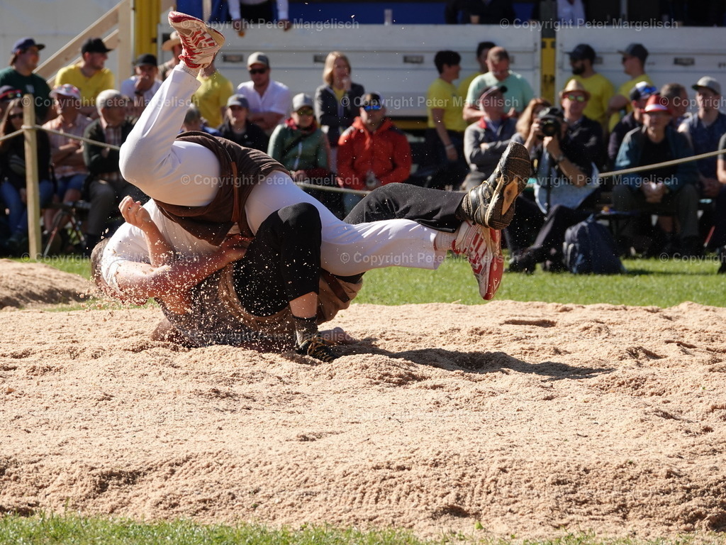 DSC07380 | Schwingen - Realisiert mit Pictrs.com