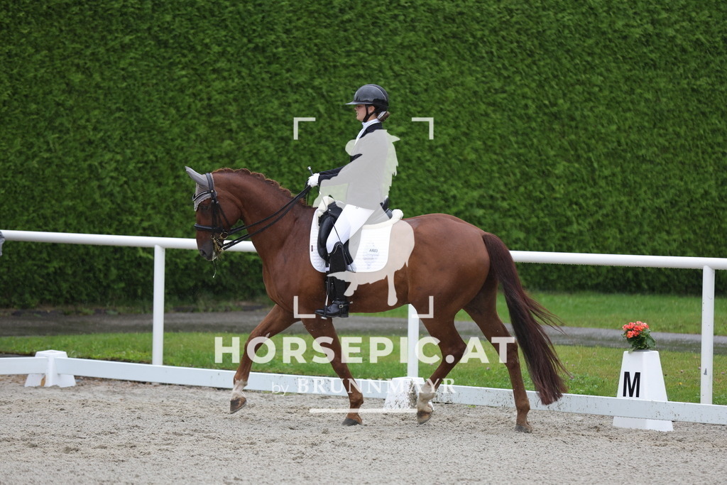0P6A0707 | Willkommen bei Brunnmayr - Design & Fotografie – Ihrem Spezialisten für Reitturniere und Pferdeveranstaltungen in Oberösterreich, Salzburg und Bayern! Seit über 17 Jahren sind wir leidenschaftlich dabei.