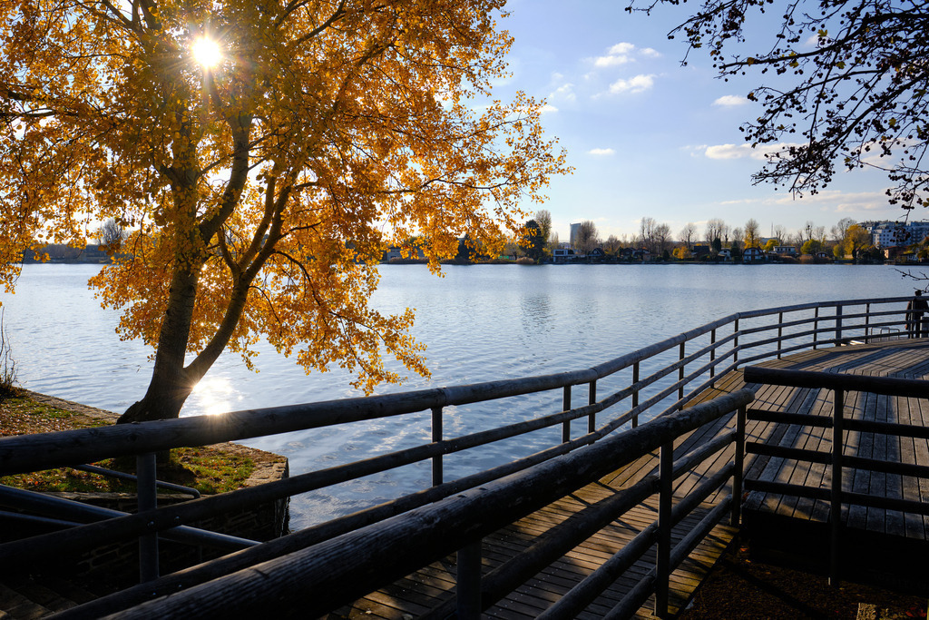 Herbststimmung am Radweg der Alten Donau | Wien, Austria - November 21, 2020: Herbststimmung am Radweg der Alten Donau. - Realisiert mit Pictrs.com