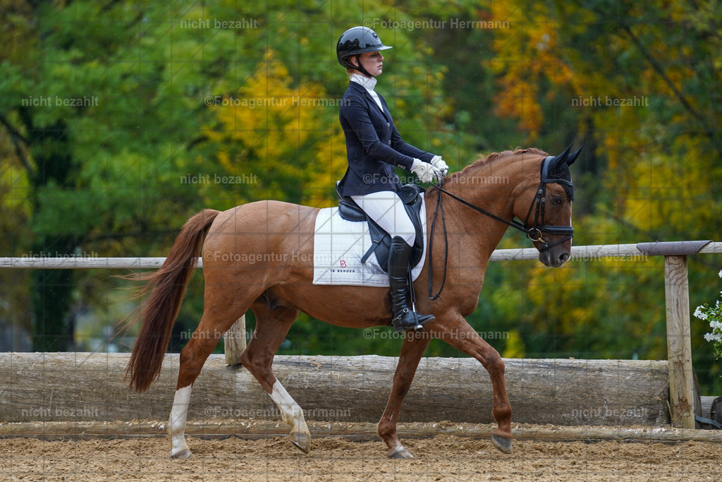 20221008-FAH01846 | Diessen am Ammersee, 2022, Dressur- und Springturnier, Reitsportbilder, Turnierfotografen Bayern, Pferdefotografen, Fotoagentur Herrmann, Turnierbilder