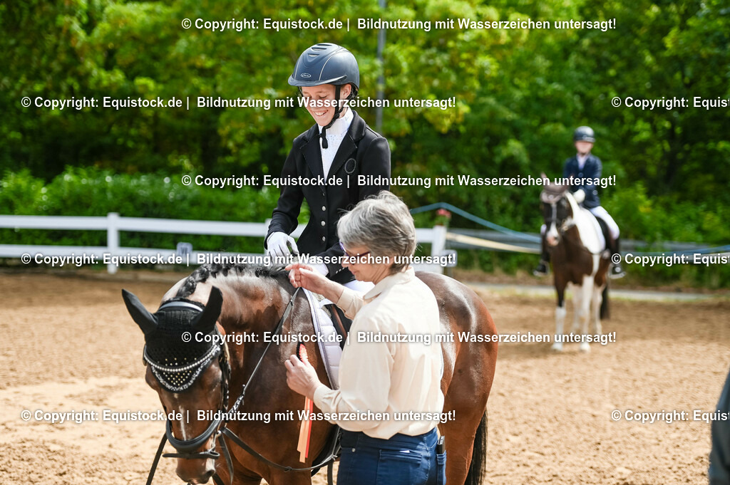 20230716_10-2_Reiter-WB Schritt - Trab - Galopp_0199 | equistock