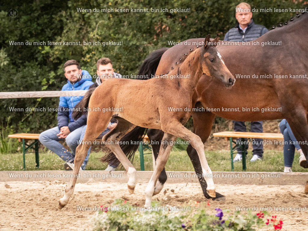 A10I6171 | photographylinaismer - Realisiert mit Pictrs.com