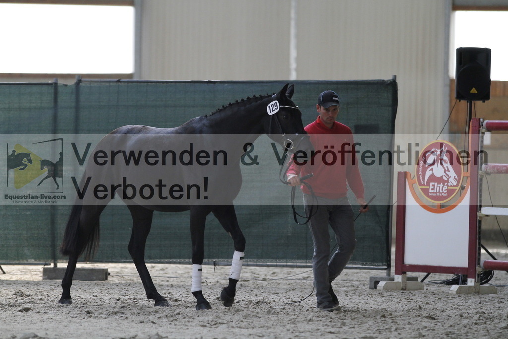 _MG_9877 | equestrian-live-com