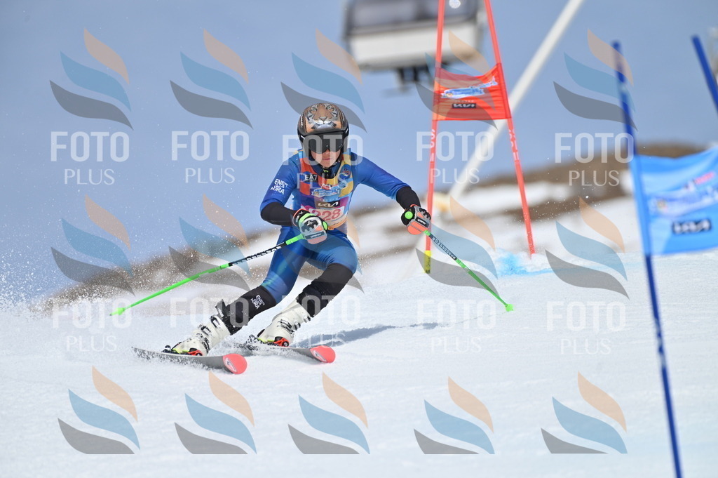 BGV_1460 | holidayphoto