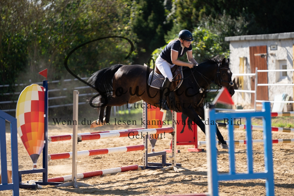 A7V02584 | Pferdefotograf