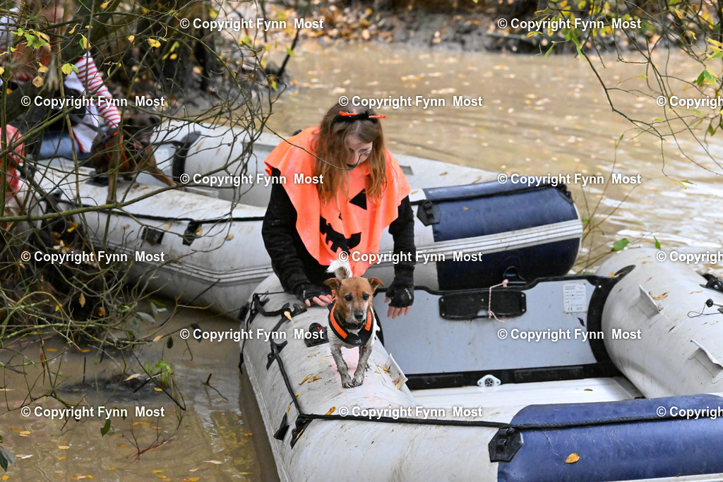 DSC_6902 | Hallo und herzlich Willkommen auf meiner Shop-Seite Fynn Most.

Ich wünsche Dir viel Spaß beim stöbern durch die Bilder, wenn Du Fragen hast oder Bilder vermisst, kannst du mir gerne eine Nachricht schreiben. - Realisiert mit Pictrs.com