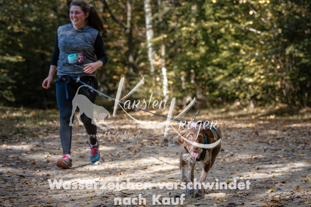 1242_ZZ95930 | kk-dogfotos