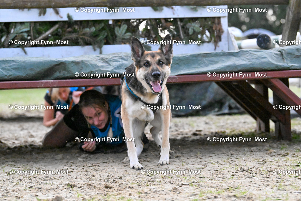 DSC_5022 | Hallo und herzlich Willkommen auf meiner Shop-Seite Fynn Most.

Ich wünsche Dir viel Spaß beim stöbern durch die Bilder, wenn Du Fragen hast oder Bilder vermisst, kannst du mir gerne eine Nachricht schreiben. - Realisiert mit Pictrs.com