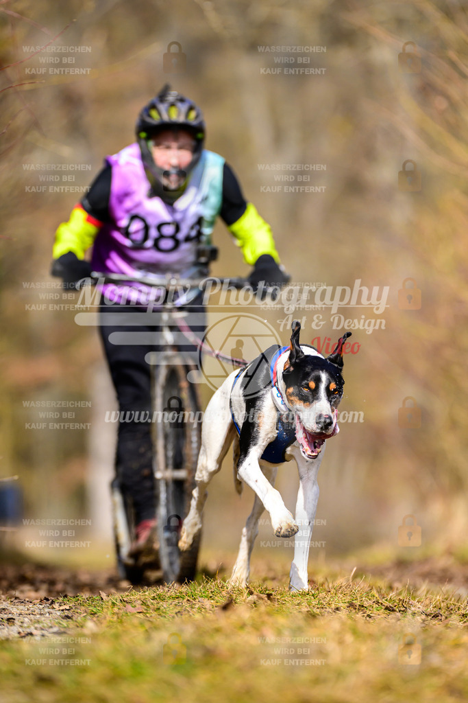 MompixPhotography_Schwabentrail2025_SO_DS1-68 | PayLife