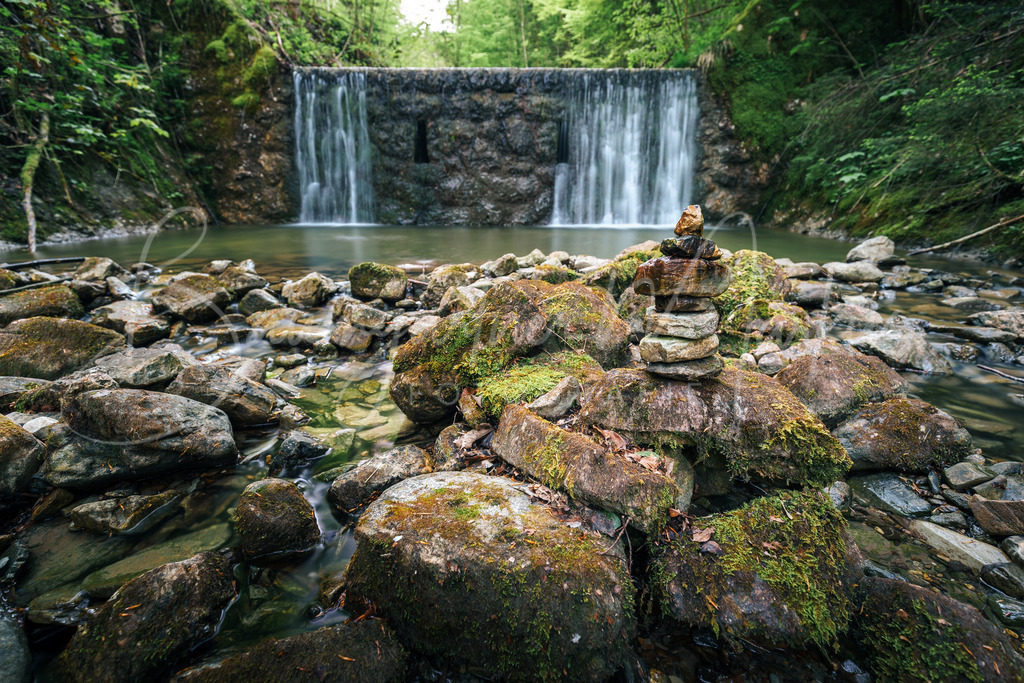 _DSC3157 | Baumgartner Markus Fotografie