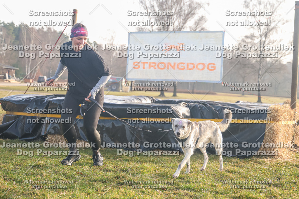Dog Paparazzi - SD North Sa 830-900-214 | Dog Paparazzi Jeanette Grottendiek Fotografie & Videografie - Realisiert mit Pictrs.com