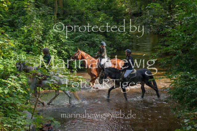 Jagd Perdoel_MarinaHewigMCH05144 | Fotografie, FotoArt, PferdesportArt, Pferdesportfotografie, Landschaftsfotografie, Reisefotografie, Reise, Pferde - Realisiert mit Pictrs.com
