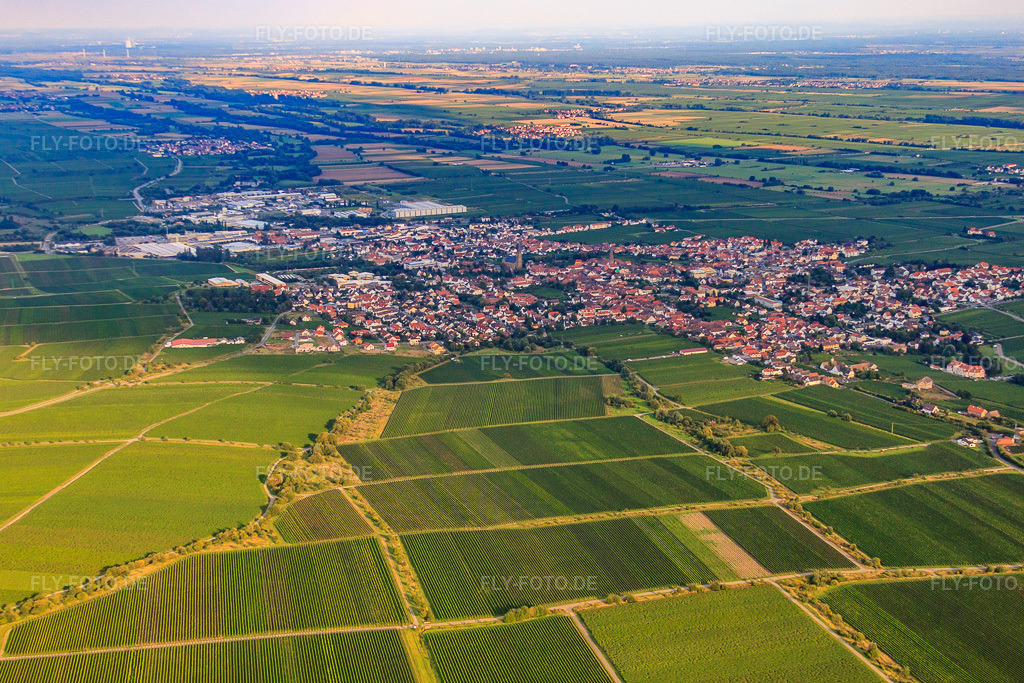 Luftbild: stadtansicht von Nordwesten in Edenkoben im Bundesland Rheinland-Pfalz in Deutschland. Foto: IMG_33074.jpg vom 04.09.2010 durch Werner Riehm/FLY-FOTO.de