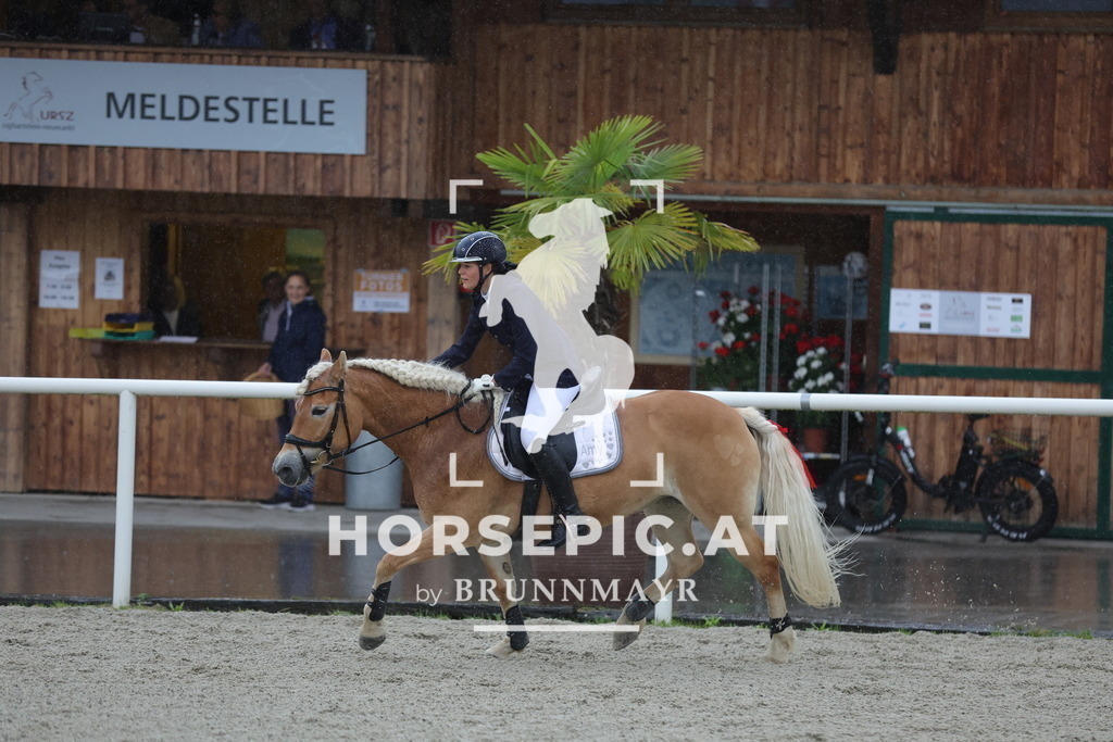 0P6A7529 | Willkommen bei Brunnmayr - Design & Fotografie – Ihrem Spezialisten für Reitturniere und Pferdeveranstaltungen in Oberösterreich, Salzburg und Bayern! Seit über 17 Jahren sind wir leidenschaftlich dabei.