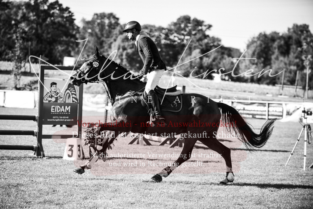 DSC_2211 | Pferde- und Turnierfotografie in Westsachsen. Pferdeportraits, Auftragszeichnungen und intuitive Kunst.