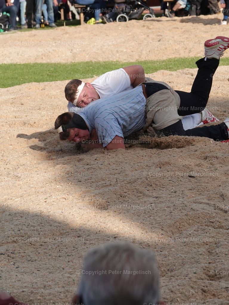DSC05630 | Schwingen - Realisiert mit Pictrs.com