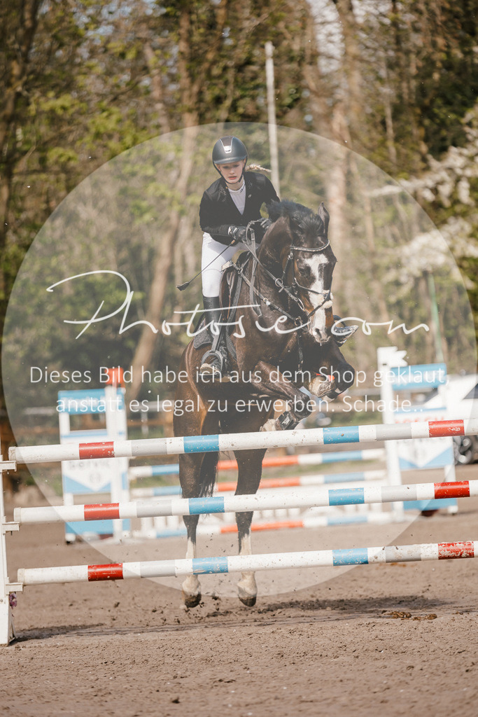 3I6A4156 | Stimmungsvolle Portraits und Reitsportfotografie im Ruhrgebiet und im Münsterland.

Pferdefotografie, Hundefotografie, Tierfotografie, Reportagen, Portraits von Tier und Mensch, Turnierfotografie in Bochum, Recklinghausen, Marl, Haltern am See, Dülmen.. - Realisiert mit Pictrs.com