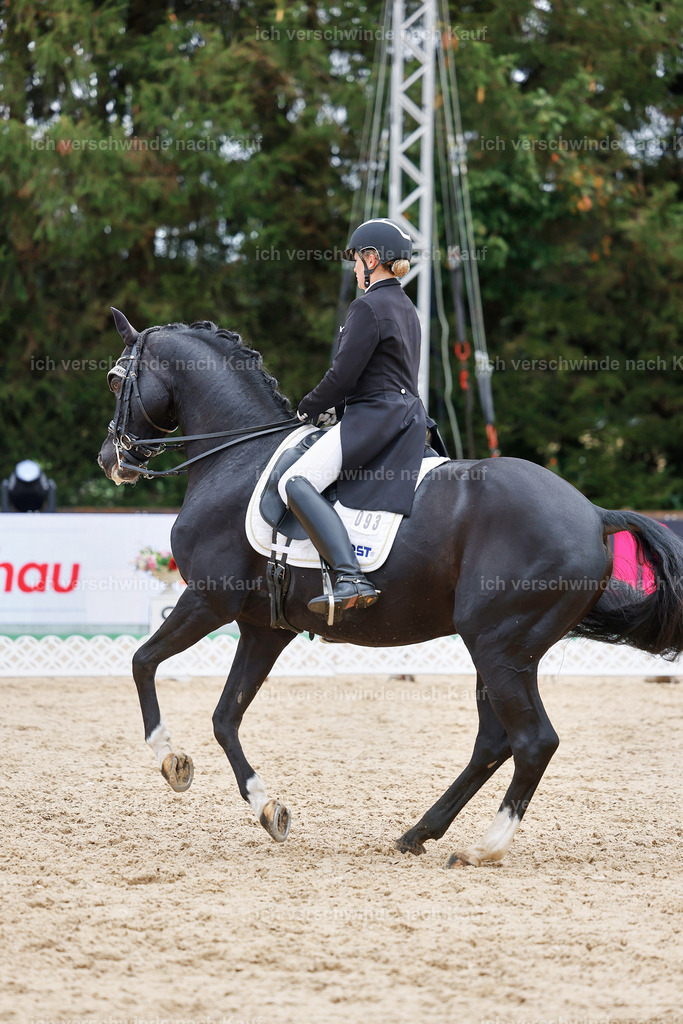 07-093-DRESSUR  S___  -StoibPH-5034 | working equitationturnier fotograf videograf stoibphotography marixx film working equitation deutschland reitsport turnierfotografie eventfotografie equestrian events