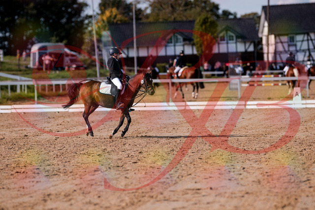 2026_10_03_Siefer-Hof_122251_Z81_22474388 | Professionelle Reitsport-, Turnier- und Eventfotografie von Robert Broda. Galerien mit ausgewählten und bearbeiteten Bildern direkt online ansehen und bestellen.