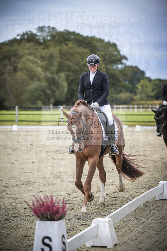 DOS_0076 | Entdecke hochwertige Reitturnierfotos von Foto Oger. Professionell, emotional und authentisch – jetzt Lieblingsmomente im Shop bestellen.Deutschlandweite Turnierfotografie. - Realisiert mit Pictrs.com