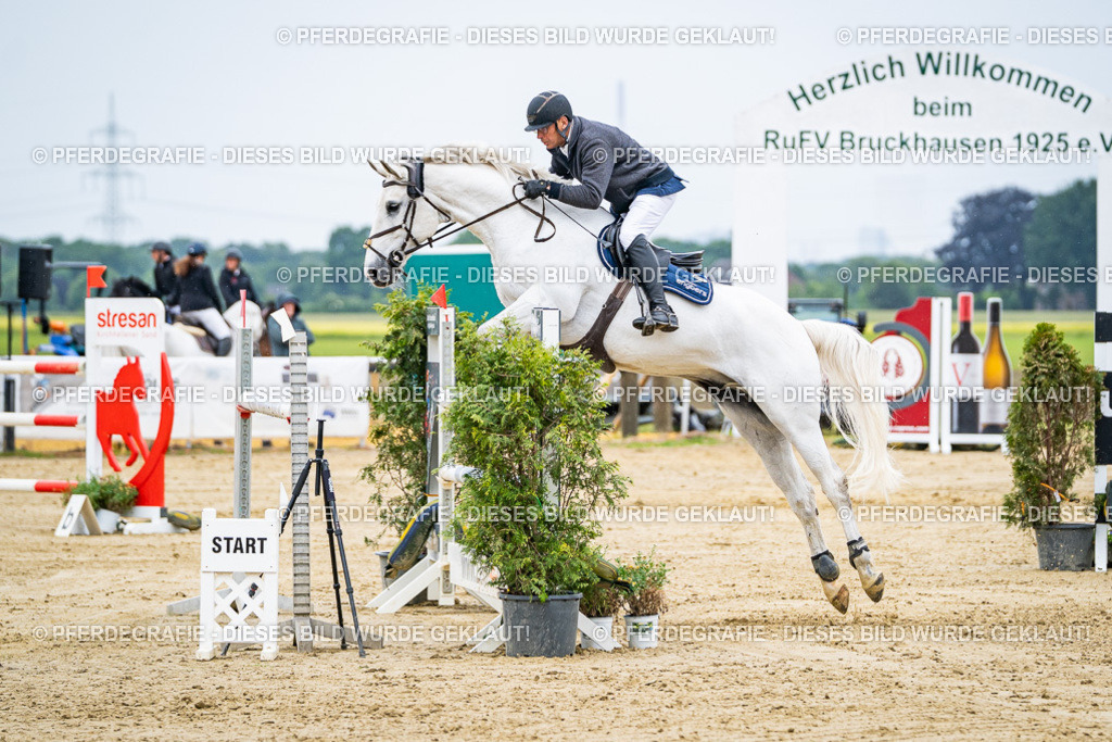 DSC08305 | Pferdegrafie