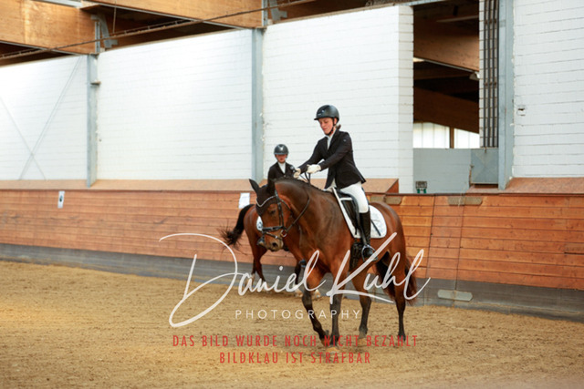 _62_7445 | Turniersportfotografie; Pferdefotografie; Dressurfotografie