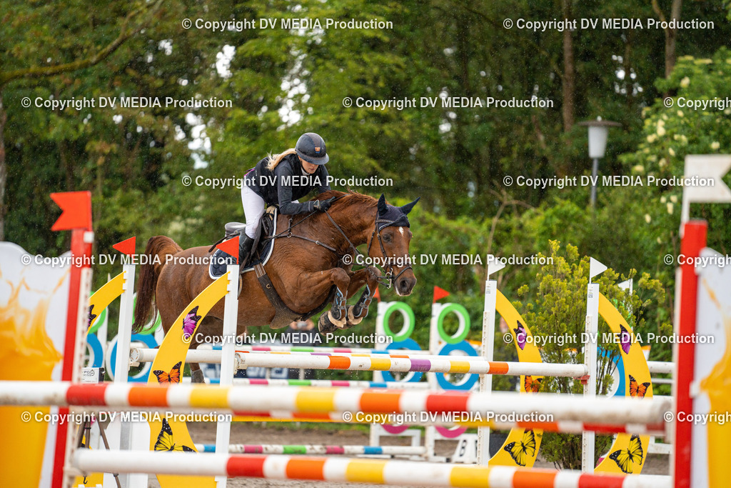 Eppelheim Tag 3-57 | dv-media-shop - Realisiert mit Pictrs.com